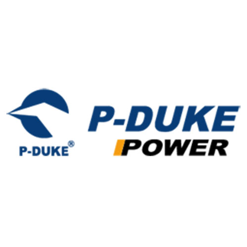 PDuke-logo-VP-électronique